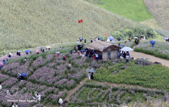 Vietnam-Laos border communities strengthen bonds of friendship
